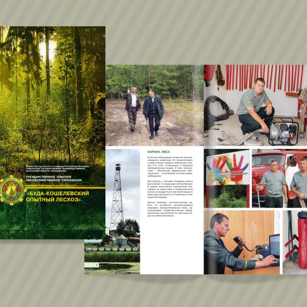 17. Буда-Кош Лесхоз