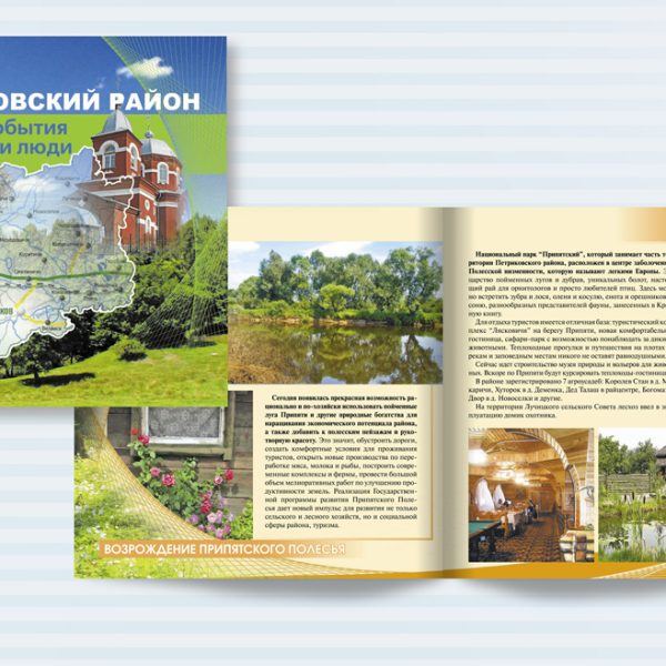 2. Петриковский район