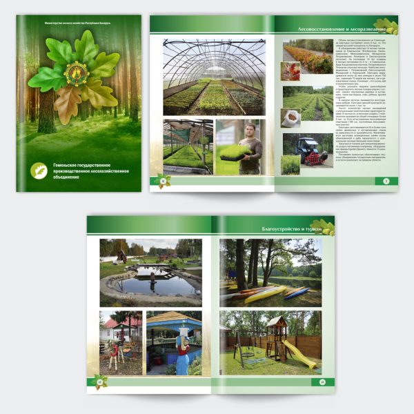 26. Гомельский-2016