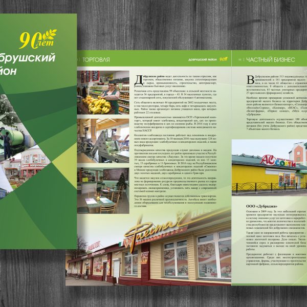 28. добрушский район