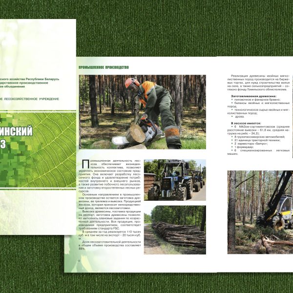 34. Жлобинский лесхоз