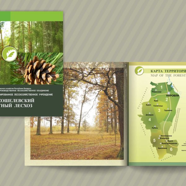 4. Будакошелевский-1