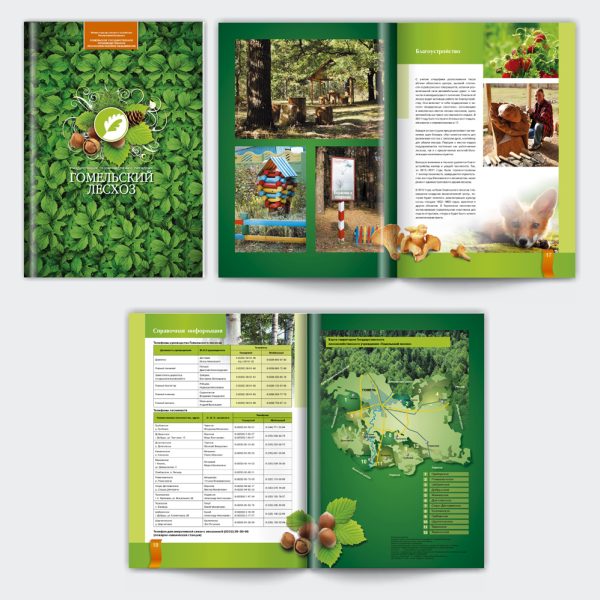 5. Гомельский-1