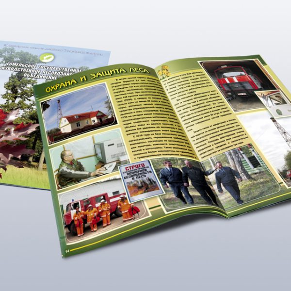 6. Гомельский-2