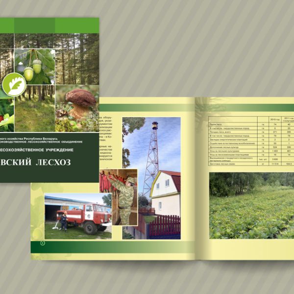 8. Петриковский