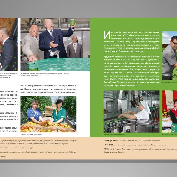 Book Гомельский район-18