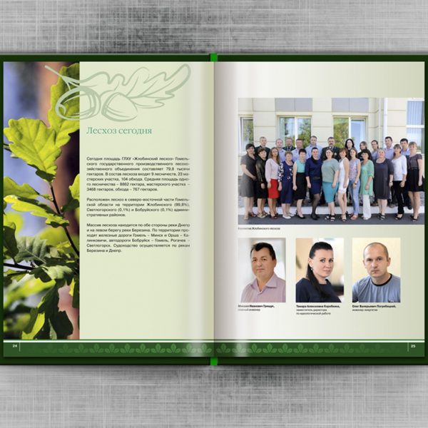 Жлобинский лесхоз-3