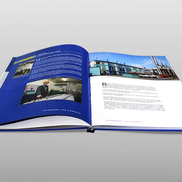 Лидалакокраска-2