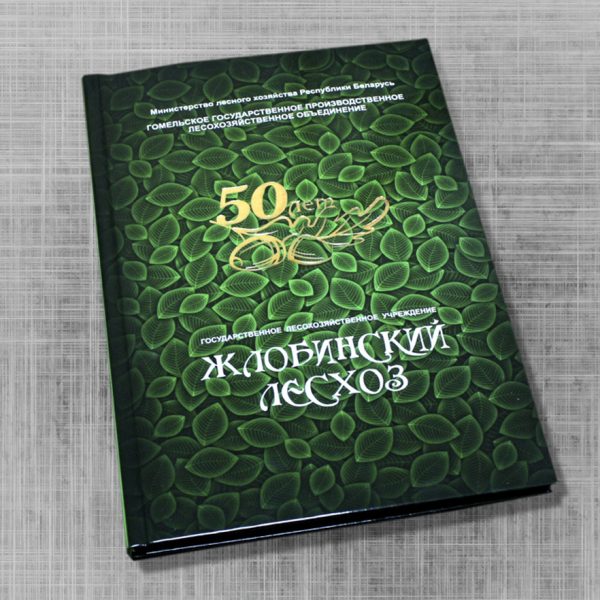 Обложка Жлобинский лесхоз-1