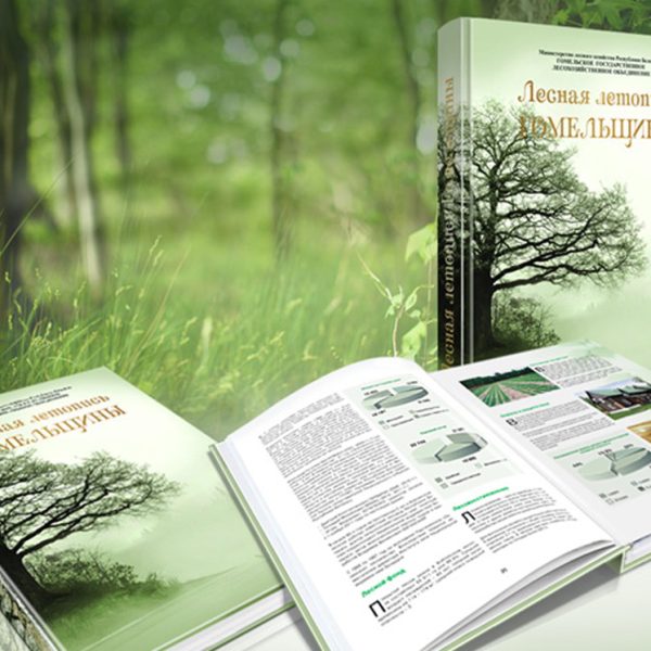 Обложка Лесная