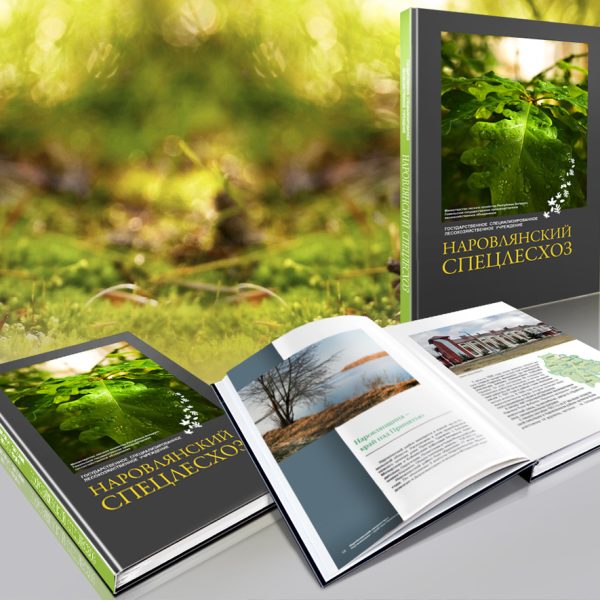 Обложка Наровля_Спецлесхоз