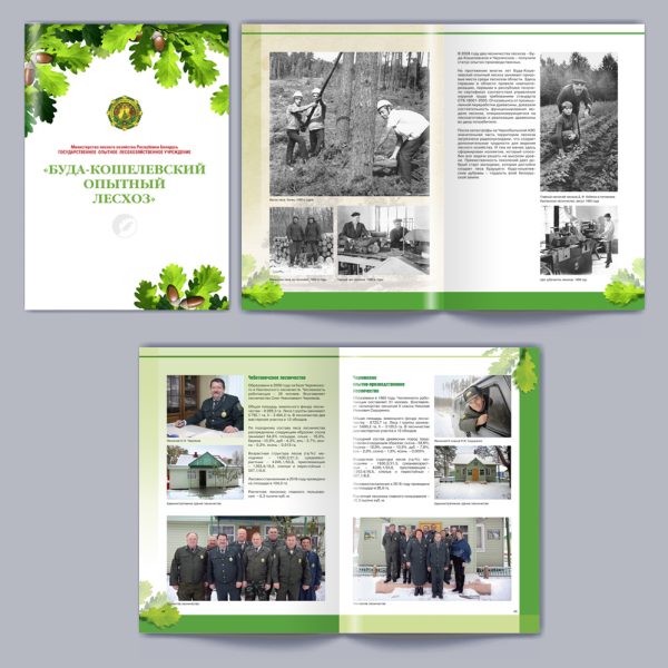 25. Будакошелевский-2016